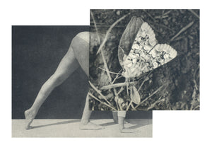 Cecilia Bonilla 'Between Animals and Trees 15' 2020 Collage on card 21x29.7cm