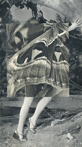 Cecilia Bonilla 'Myths of Nature 1', 2021 Collage on paper 17x10cm