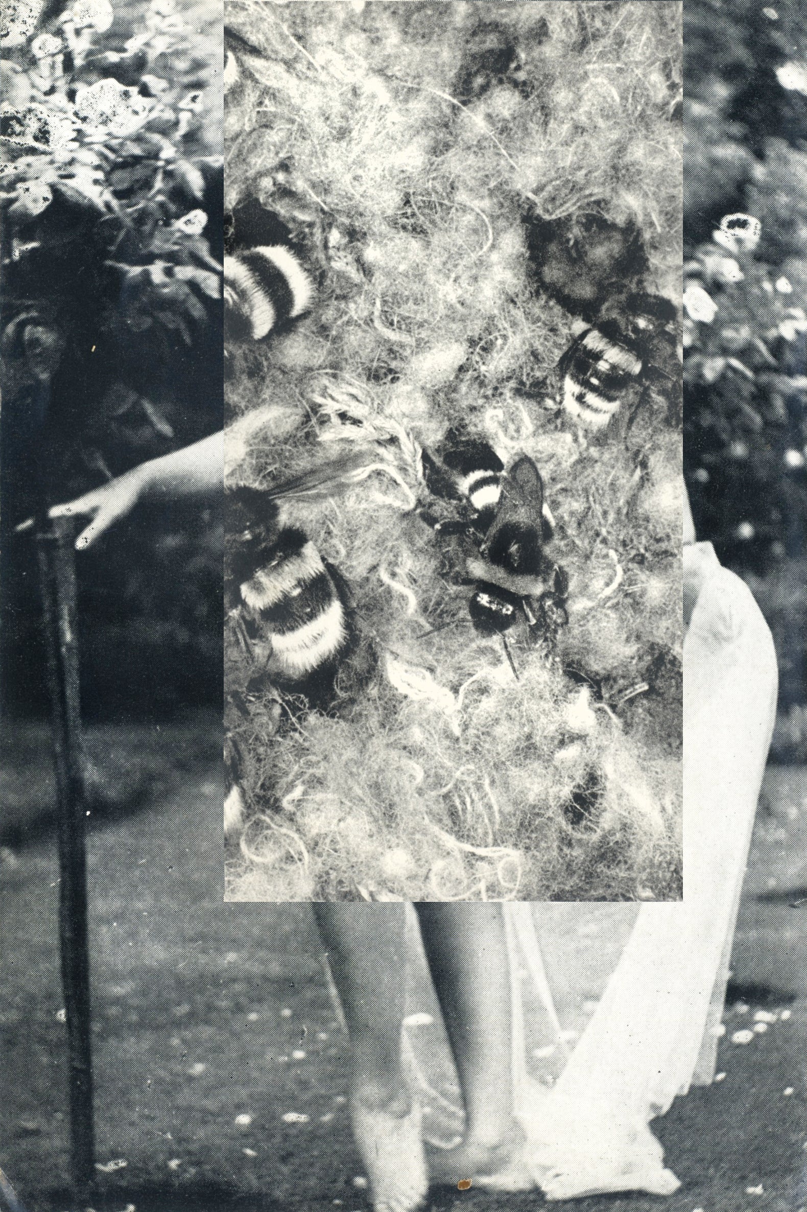 Cecilia Bonilla 'Myths of Nature 2', 2021 Collage on paper 17x11cm
