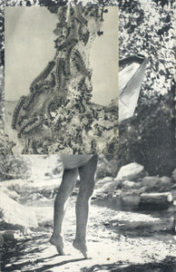 Cecilia Bonilla 'Myths of Nature 3', 2021 Collage on paper 18x12cm