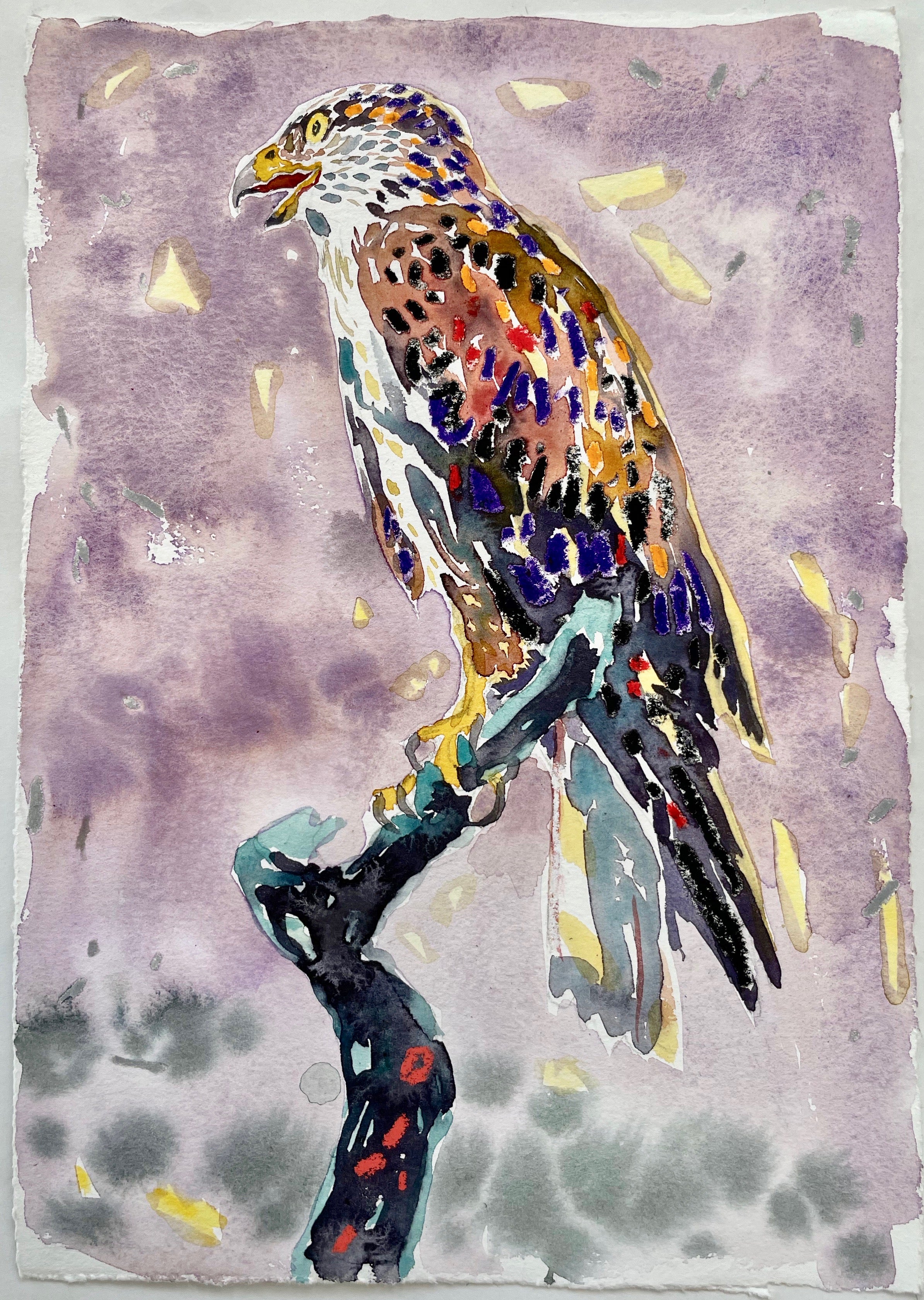 Dominic Shepherd 'Hawklord', 2021 Watercolour, oil, soft pastel on paper 30x21cm